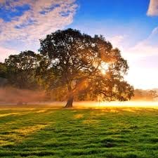 Rachelle Ann Go avatar